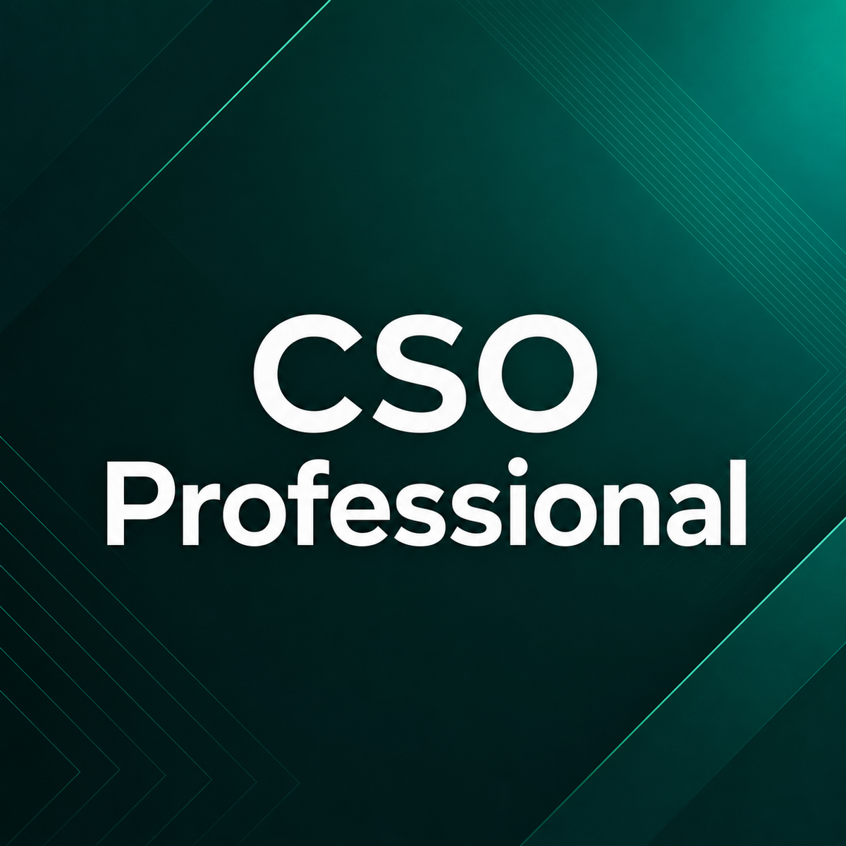 Professional Plan —  ⭐ Most Popular